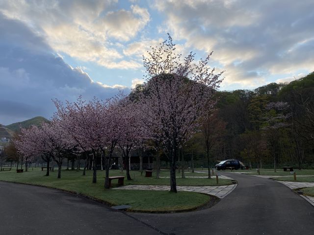 �d�������I�[�g�T�C�g_�G�_���I�[�g�L�����v�� �n�`�����̐X