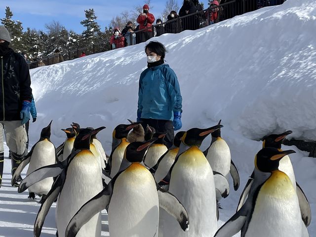 �Ƃɂ��������y���M���ł����������Ƃ����Ԃł����B_���R������