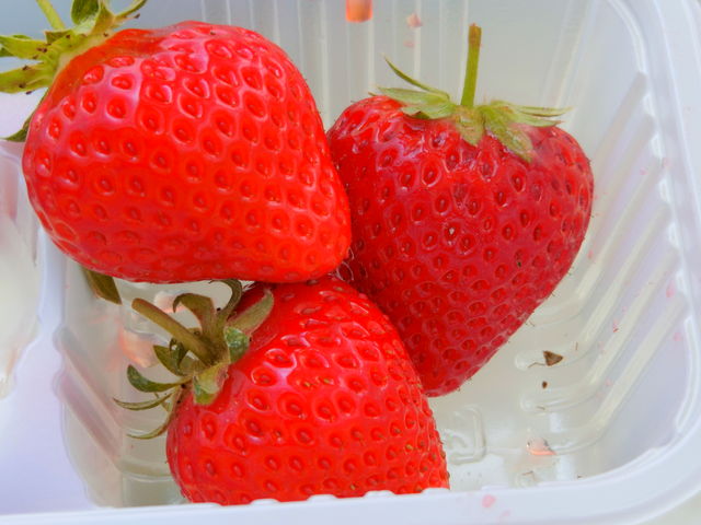 �Ⴄ��ނ̂�����_�u�̏��䕂₳��i�������ςς�䕂�j