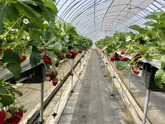 ���ݍ͔|�Ɠy�k�͔|�̃n�E�X������܂���_�c���_��