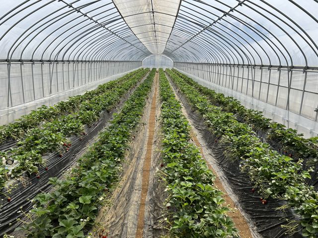 �y�k�͔|�̃n�E�X������̂Ŏ��O�Ɋm�F��_�c���_��