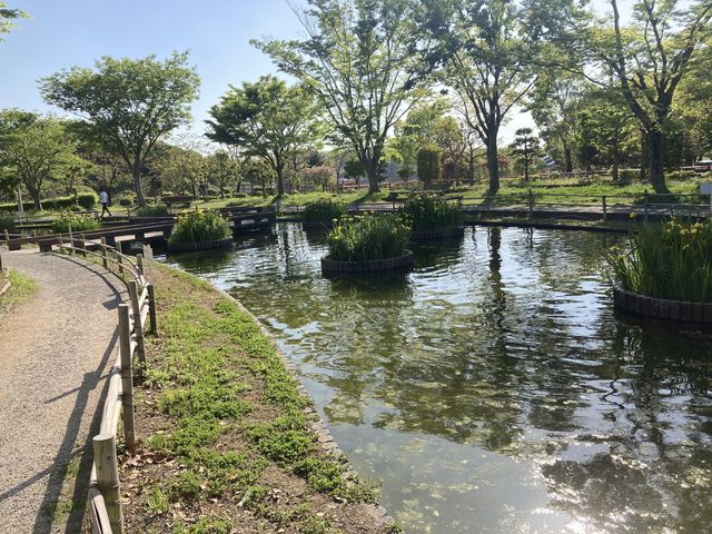 �Ȃ܂��̋�_���Îs�����^�������i�Ȃ܂��̋��j