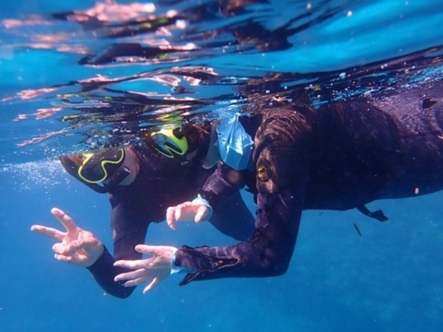 ���[�����@�L���C�ŋ������ς�_�I�[�V�����X�^�C��