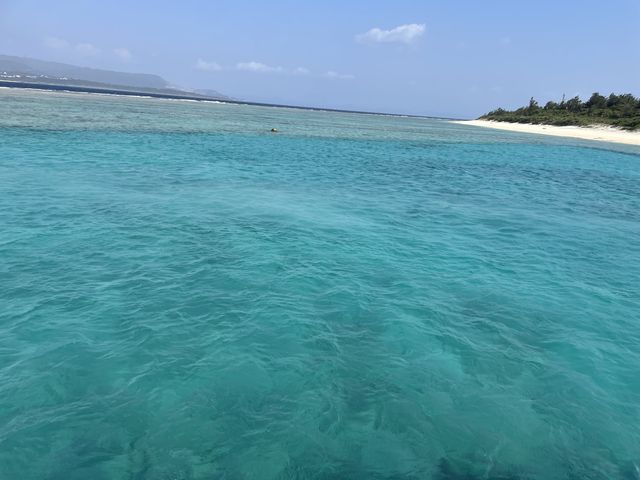 ���[�u���[_�I�[�V�����X�^�C��