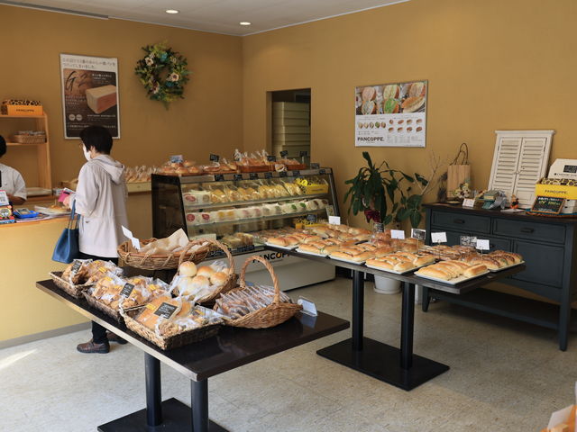 FXȃp̕񂾓X_PANCOPPE V[u[YX