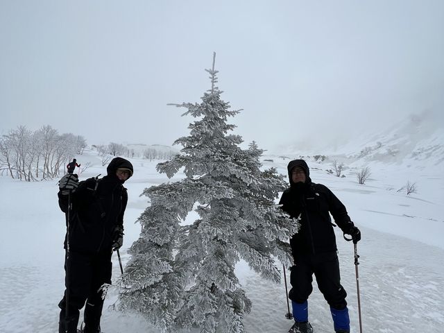 �V�Ⴊ�~���čō��̃R���f�B�V����_NORTH GLAMPER�x�ǖ�