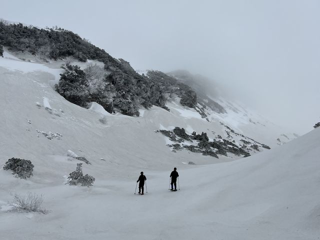 �\���x�͗Y��ōō��ł����I�I_NORTH GLAMPER�x�ǖ�