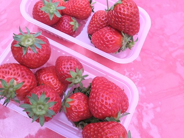 3ސHהׂ܂_Xgx[t@[BERRYBERRYBERRY