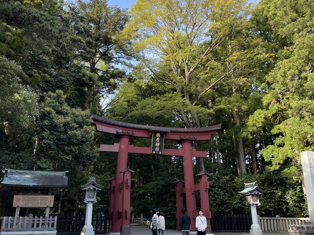 ��F�_��_�\�F�_��