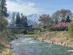 ��o�݂̒苴�̎ʐ^1