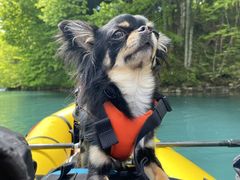 Michumousẽhbv@AEghAKChT[rXւ̓eʐ^1