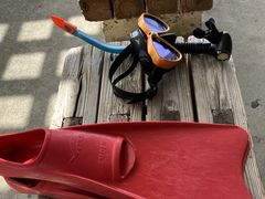 ̔dRDiving Service Fieldւ̓eʐ^1