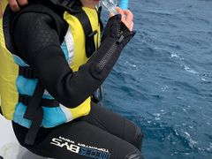 aolanỹ}T[rXނʁ[ւ̓eʐ^1