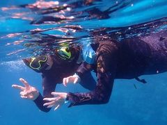 邳̃I[VX^Cւ̓eʐ^1