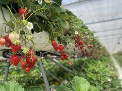 т񂳂̈hN_ւ̓eʐ^1