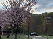 ځ[G_I[gLv n`̐X̓eʐ^1