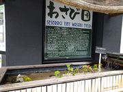 chico̎R{Hi O炬X̓eʐ^1