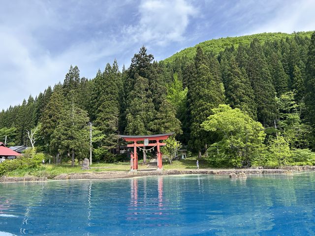 �Ɨ΁A�Ԃ��������ƂĂ��Y��ł����B_�c��ΗV���D