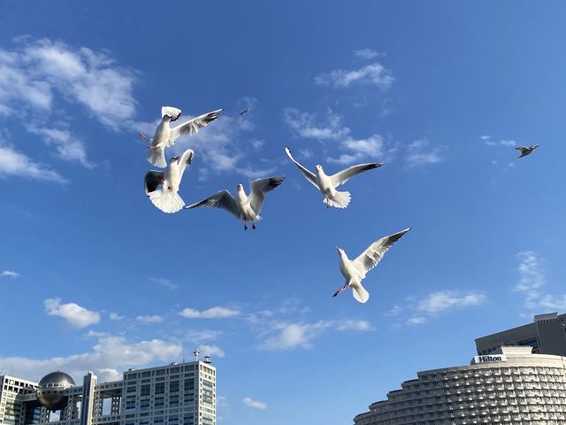 ��������J����������Ă��܂��I_CRUISE ME �����p�`���[�^�[�N���[�Y