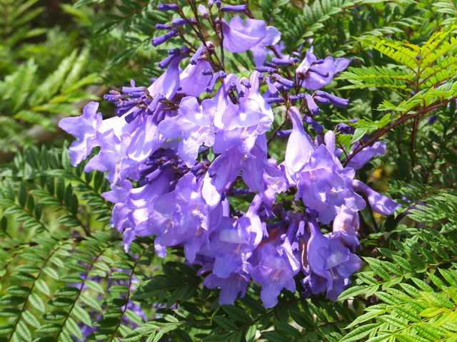 �W���J�����__�W���J�����_