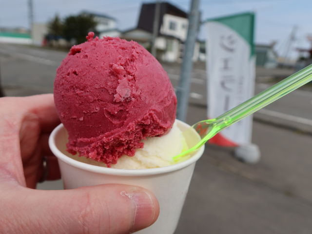 Ɨ肪Ȃ_SWEET PICNIC