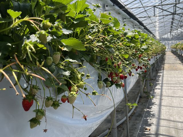 �L��_������������