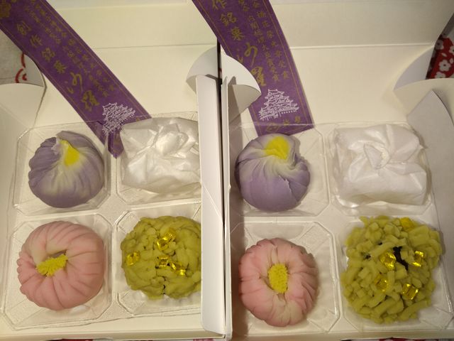 �E���̌u����������ł�_�n�� �a�َq�Â���̌�