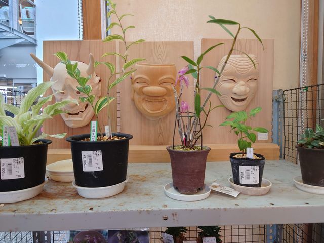 썑s@̉w 썑iǗj_̉w 썑iǗj