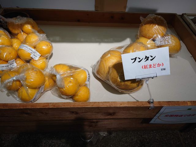 썑s@̉w 썑iǗj_̉w 썑iǗj