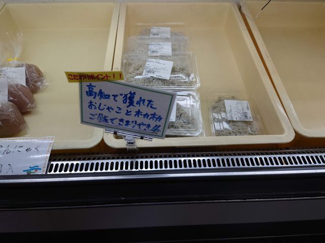 썑s@̉w 썑iǗj_̉w 썑iǗj