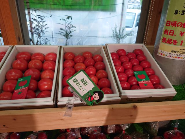 썑s@̉w 썑iǗj_̉w 썑iǗj