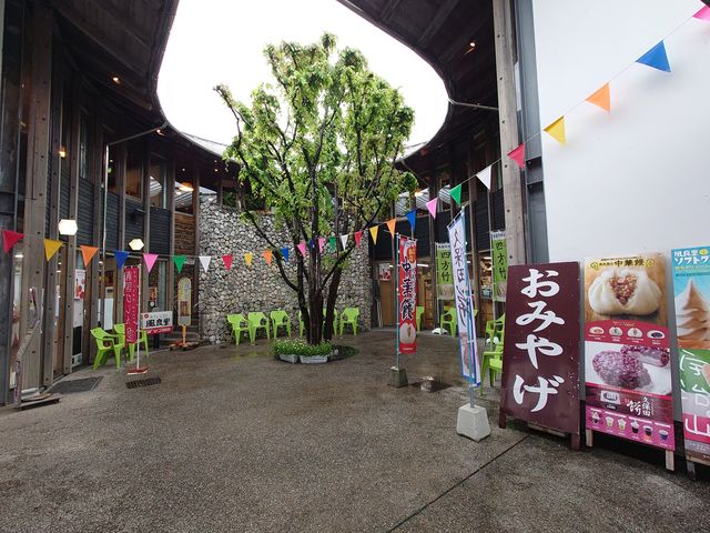 썑s@̉w 썑iǗj_̉w 썑iǗj