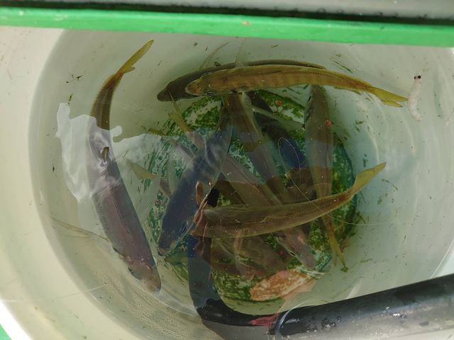 ��_�Ȃ��݊�