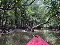 ɂ񂳂̃}O[uւ̓eʐ^1