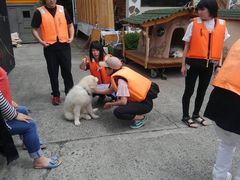 RYOKÕBgJ̓]ւ̓eʐ^1