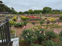 ���Ƃ݂񂳂�̕~�������΂牀�ւ̓��e�ʐ^1