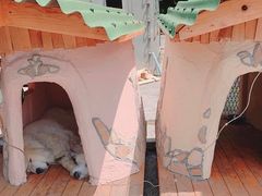 ܂䂳̏\ac΃p[X|bgN[Yւ̓eʐ^1