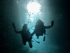 Ђコ̐̓AJiT_CrOւ̓eʐ^1