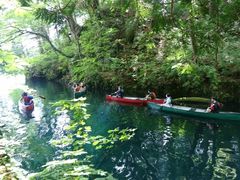 ݂񂳂̃BgJ̓]ւ̓eʐ^1