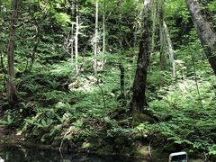 񂳂̃BgJ̓]ւ̓eʐ^1