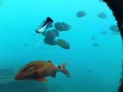 ڂ炳̋{C@ق̓eʐ^12