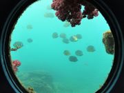 ڂ炳̋{C@ق̓eʐ^13