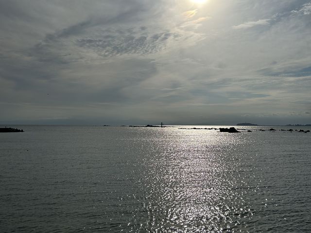 �t�R�̊C_�t�R�_�C�r���O�T�[�r�X