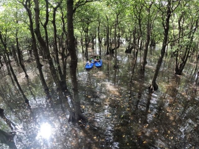 ���}���O���[�u�T��_PADDLE&NAPS