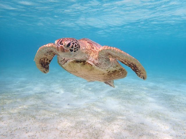 �E�~�K��_CHAMP TOUR �{�Ó�