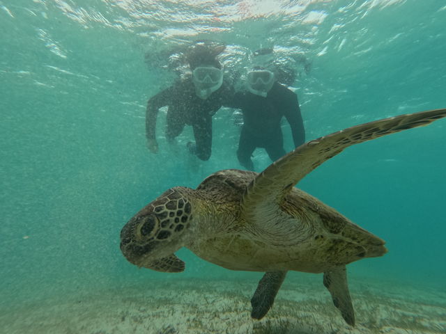 �E�~�K�����ڂ̑O�ŉj���łđ勻��_CHAMP TOUR �{�Ó�