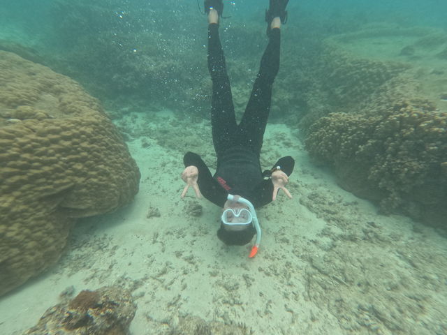 �j�����������Ă��������܂����I_CHAMP TOUR �{�Ó�