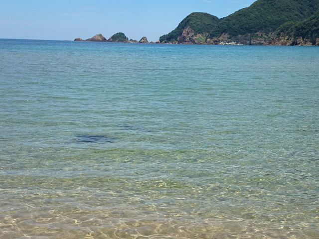 �g�̉��₩�Ȉ��ؕl_���ؕl