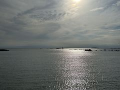 傤̗tR_CrOT[rXւ̓eʐ^1