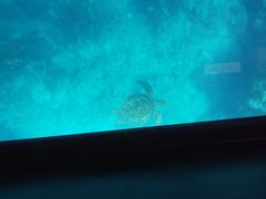 DORAE-PON̐약}T[rXւ̓eʐ^1